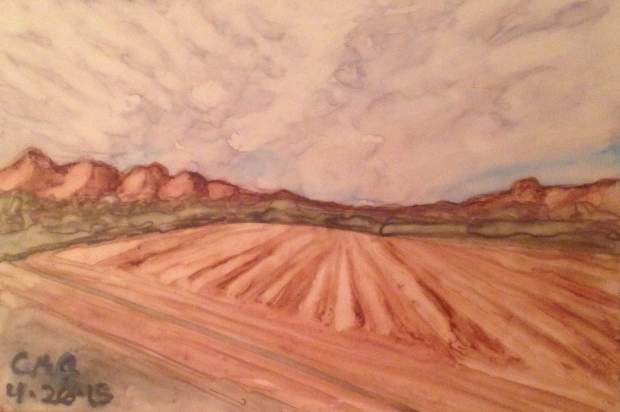 Plowed Field near Williams, CA