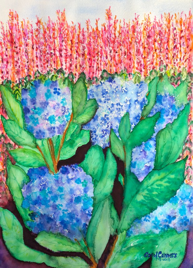 8FFC5A92-0345-4A48-8F3F-1212D4C757D6